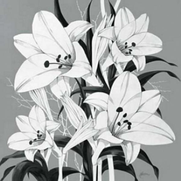 Gravura para Quadros Floral Lrio Grfico - Vl147 - 49x49 Cm