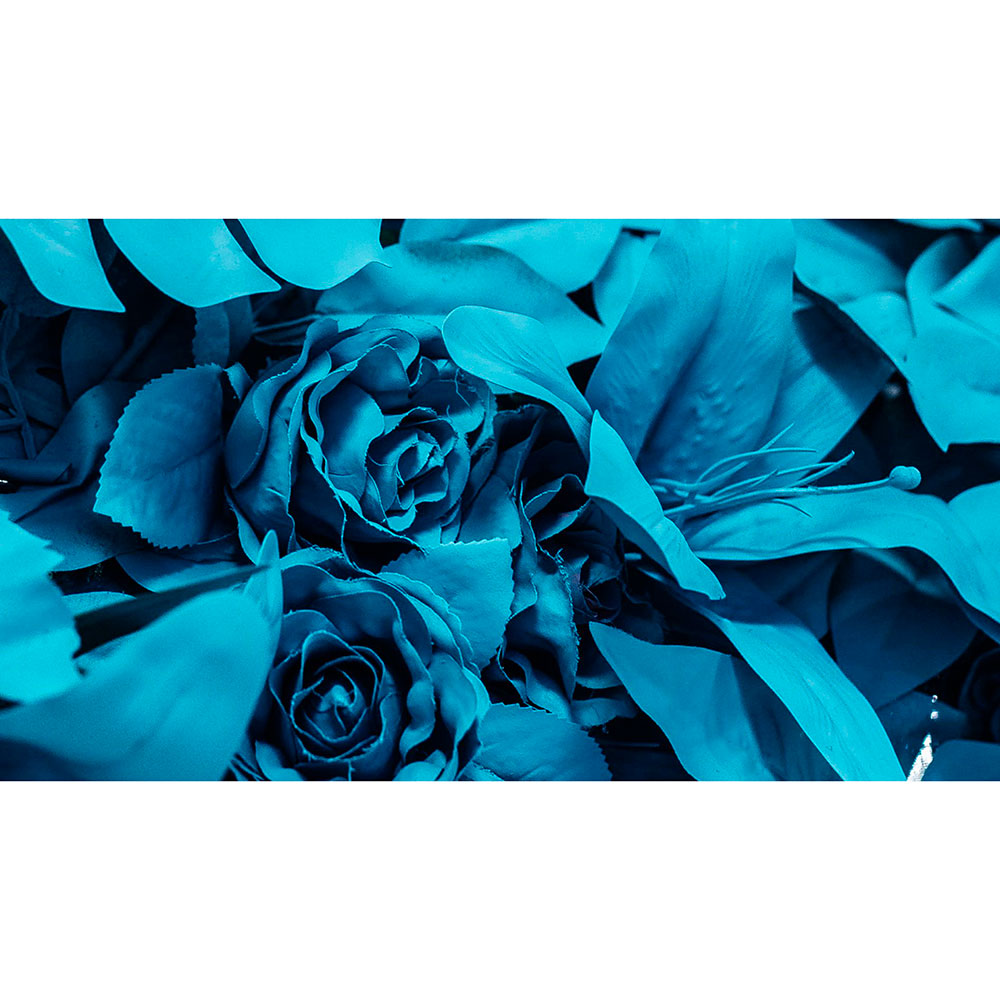 Gravura para Quadros Floral Artificial Luz Azul Noturna - Afi13351