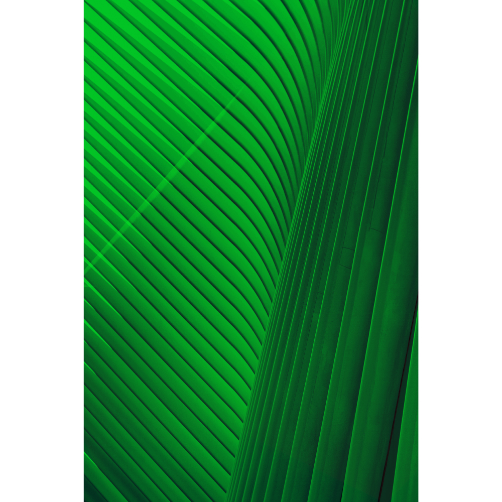 Gravura para Quadros Folha Verde Brilhosa - Afi11213