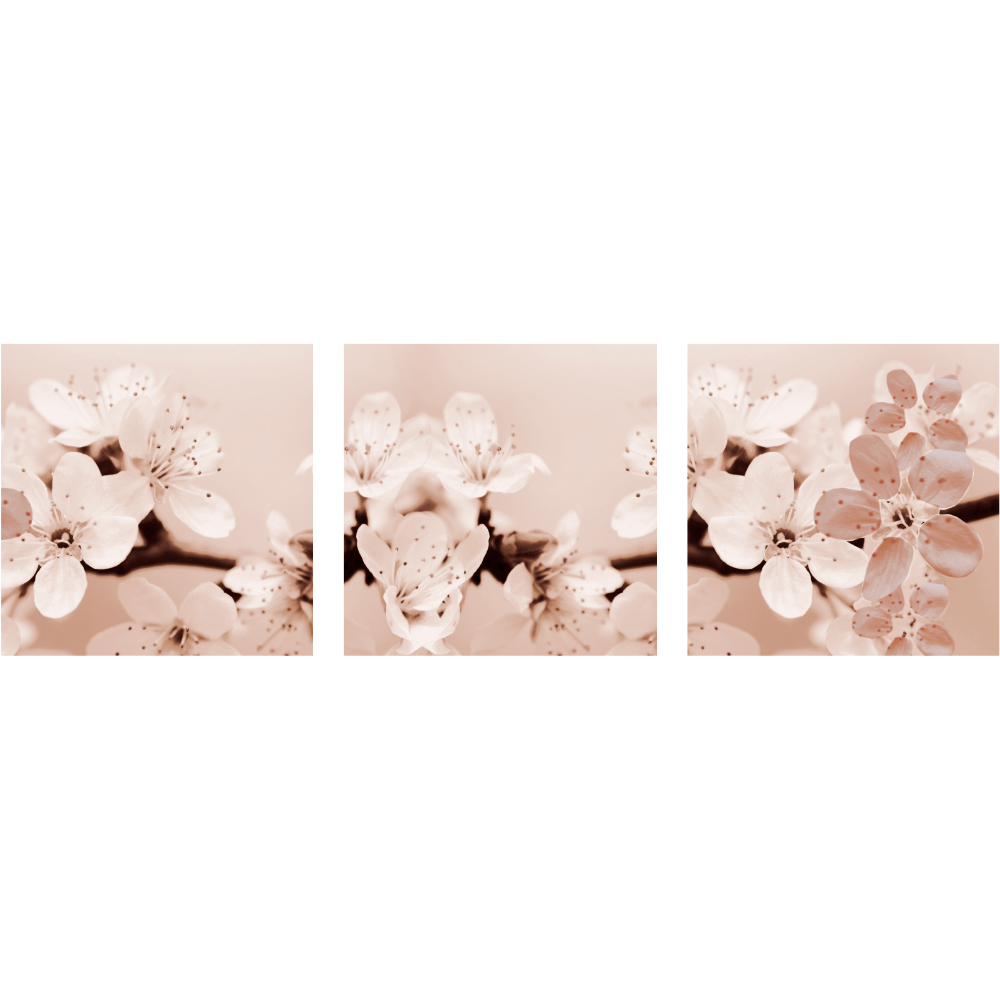 Gravura para Quadros Recortada Flores de Pssego - Afi6534a - 160x50 Cm