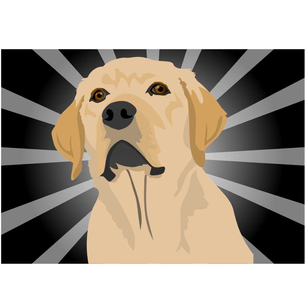 Tela para Quadros Belíssimo Cão Labrador - Afic6496