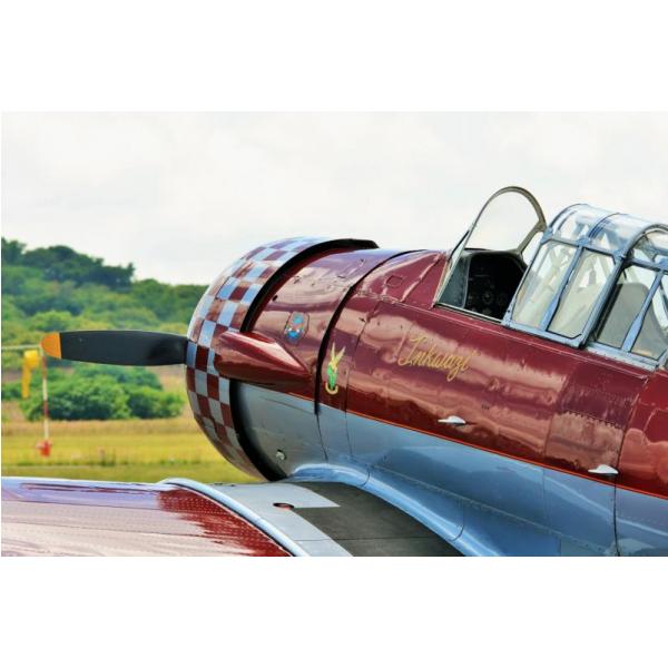 Gravura para Quadros Avião Teco-teco Vermelho - Afi833 - 66x44 cm