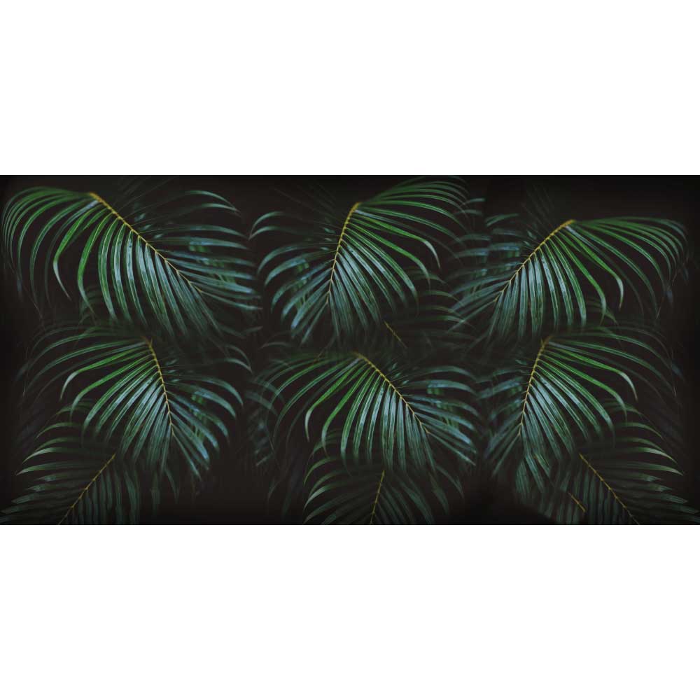Gravura para Quadros Natureza Folhas de Palmeira Real - Afi10880