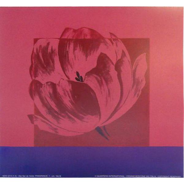 Gravura para Quadros Flor em Painel Vermelho - Ncn4214/4 - 18x18cm