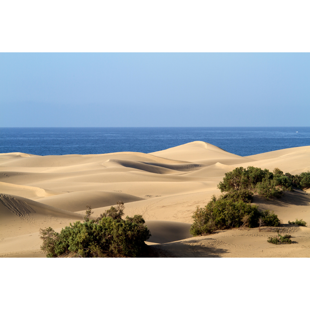 Tela para Quadros Paisagem Costa de Areia Ao Mar - Afic11165 - 180x120 Cm