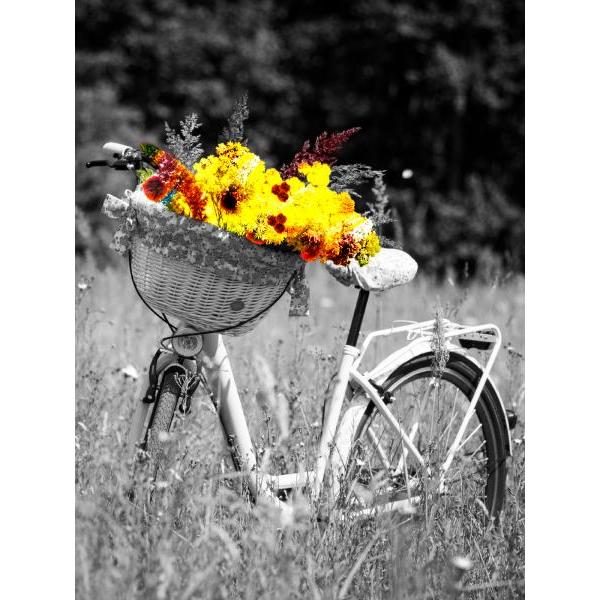 Impressão em Tela para Quadros Bicicleta Vintage Retrô - Afic6883