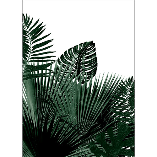 Tela para Quadros Decorativo Retrato Folhas Verdes Diversas - Afic19450