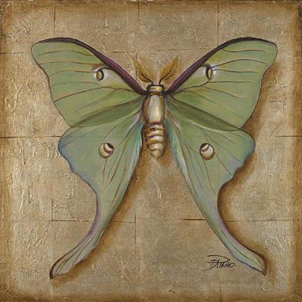 Gravura para Quadros Butterfly Verde Agua - 15x15 cm