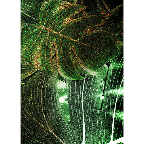 Tela para Quadros Decorativo Folhas de Imb Verde e Dourada I - Afic18903
