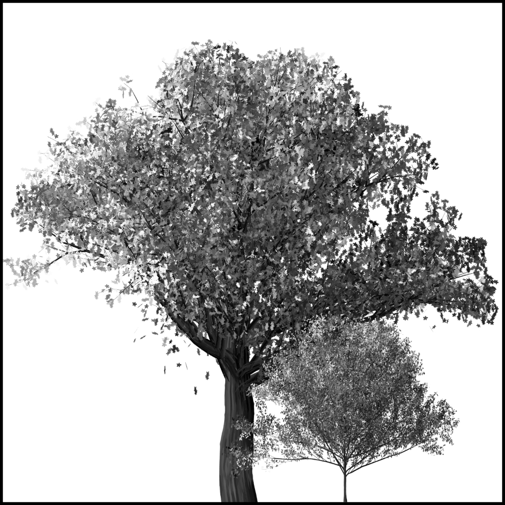 Tela para Quadros Ilustração Preto e Branco Árvore - Afic6025