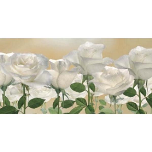 Gravura para Quadros Painel Floral Rosas Brancas - Bl1754 - 100x70 Cm