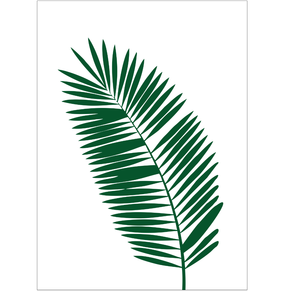 Gravura para Quadros Folha Belssima de Palmeira Verde - Afi6489