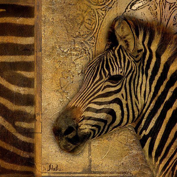 Gravura para Quadros Africana Zebra Perfil Marrom com Amarelo 30x30 Cm