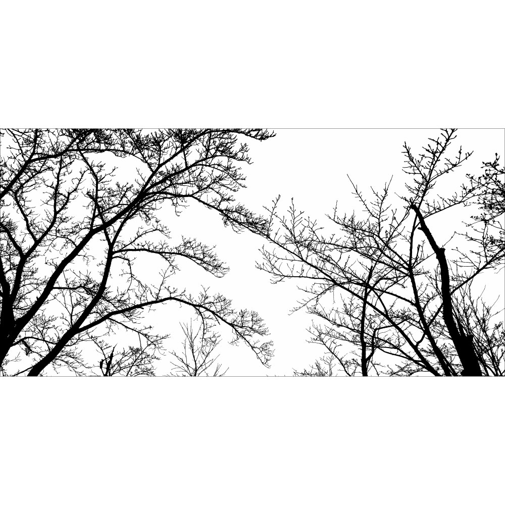 Gravura para Quadros Paisagem rvores Preto e Branco - Afi12428