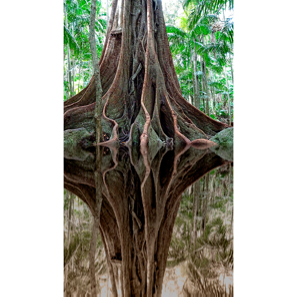 Tela para Quadros Floresta rvore Reflexo Na gua - Afic13907