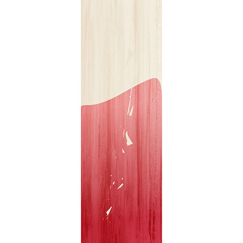 Tela para Quadros Decorativo Abstrato Placa de Cor Vermelha e Nude - Afic19188