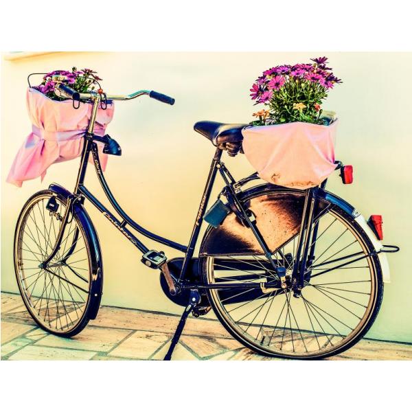 Gravura para Quadros Vasos de Flor em Bicicleta - Afi4985