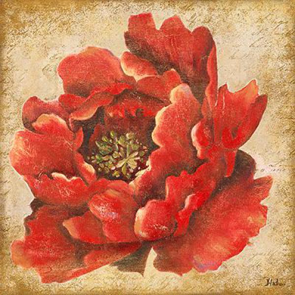 Gravura para Quadros Decorativo Floral - 8780a-18 - 46x46 Cm