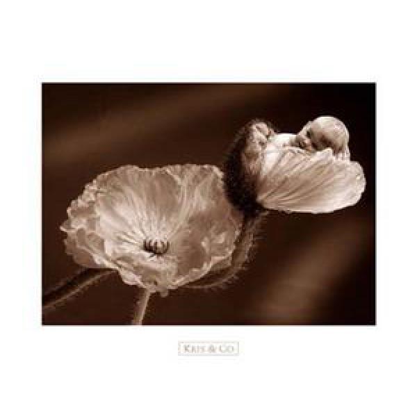 Gravura para Quadros Decorativo Floral Beb Gr7107 - 50x40 Cm