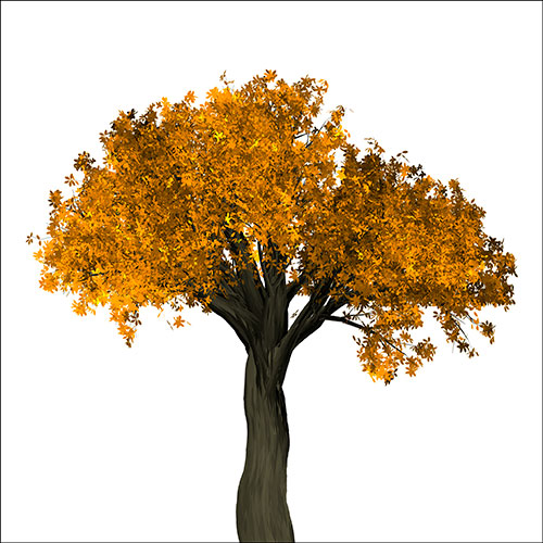 Tela para Quadros rvore de Outono Folhas Amarela - Afic18924