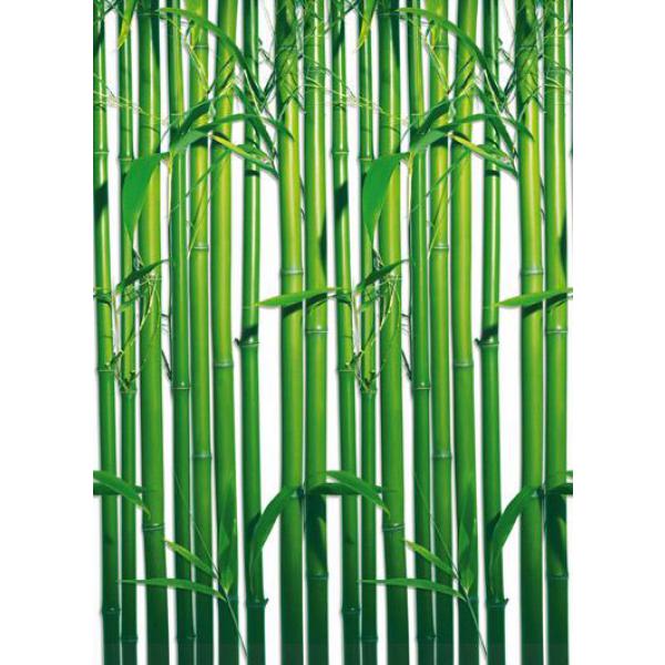 Gravura para Quadros Parede de Bambu 183x254 cm