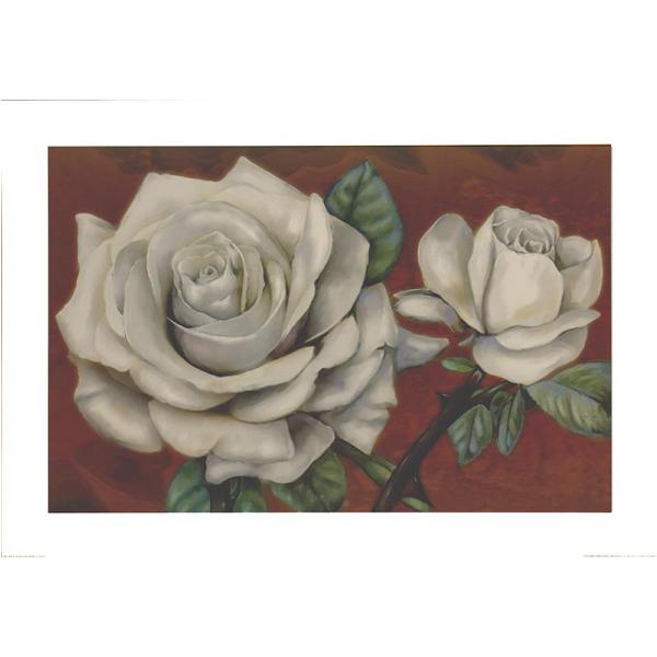 Gravura para Quadros Figurativo Rosas - Ncn3738 - 70x50 Cm