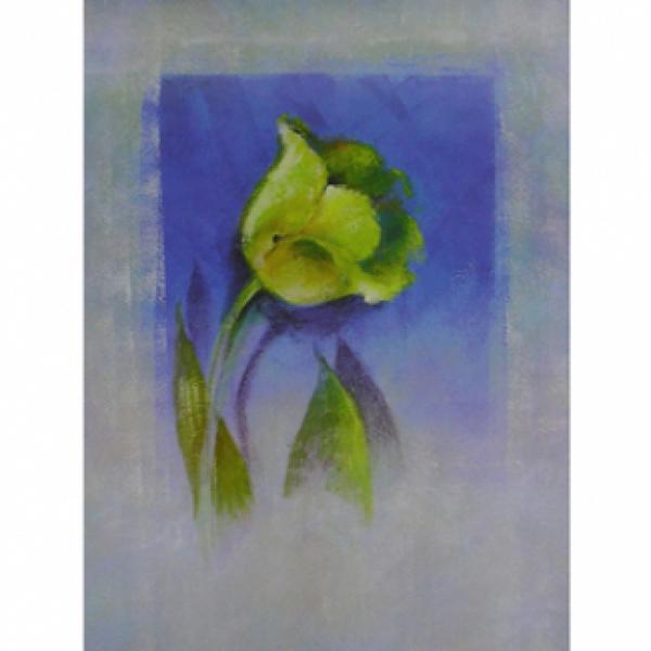Gravura para Quadro Painel Tulipa Verde -ncn3276-