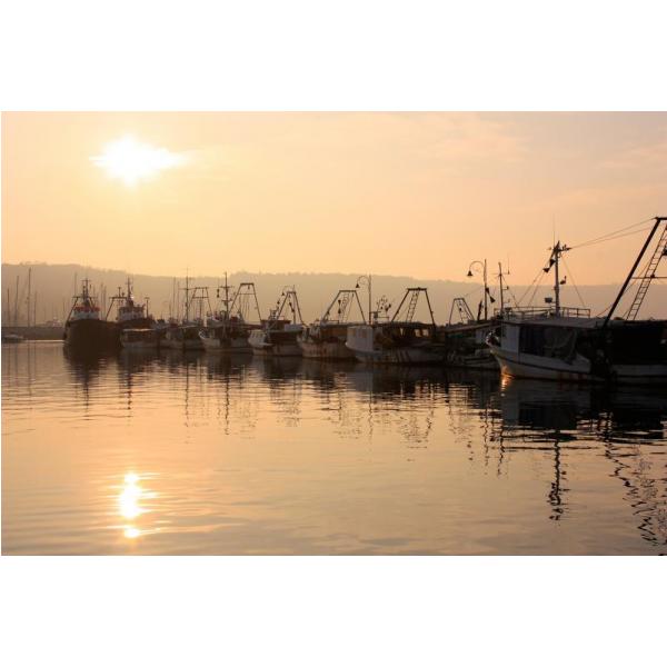 Gravura para Quadros Nutico Barcos de Pesca Ao Pr do Sol - Afi4926
