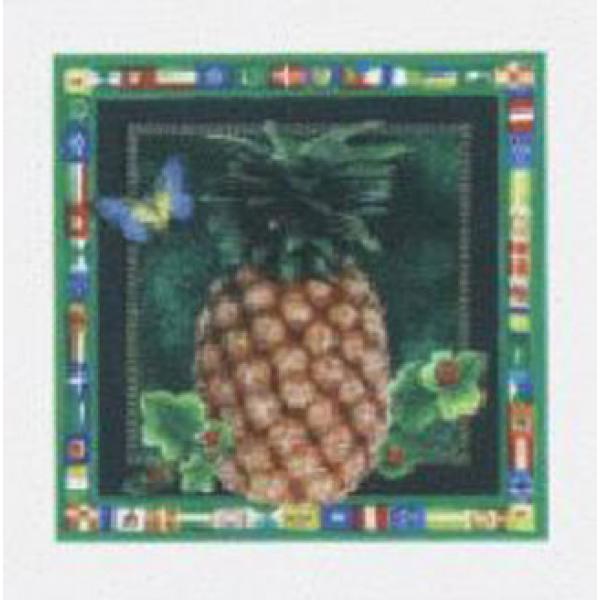 Gravura para Quadros Frutas Abacaxi com Casca - Ncn3254-4 - 20x20 Cm