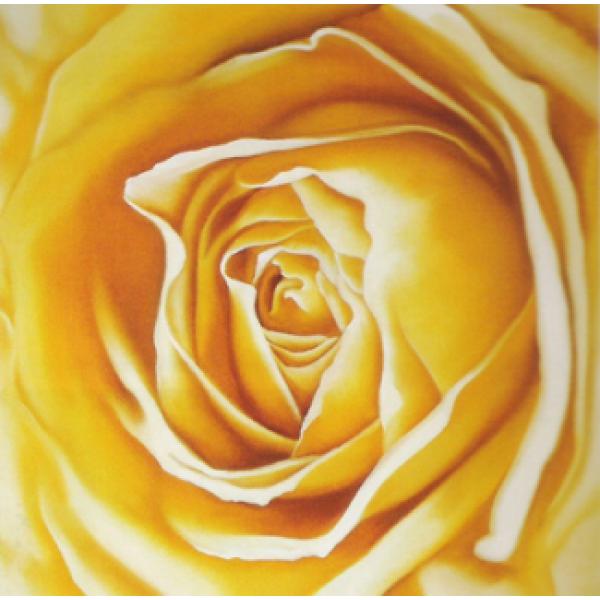 Gravura para Quadros Grande Rosa Amarela - Ncn4242 - 30x30 Cm