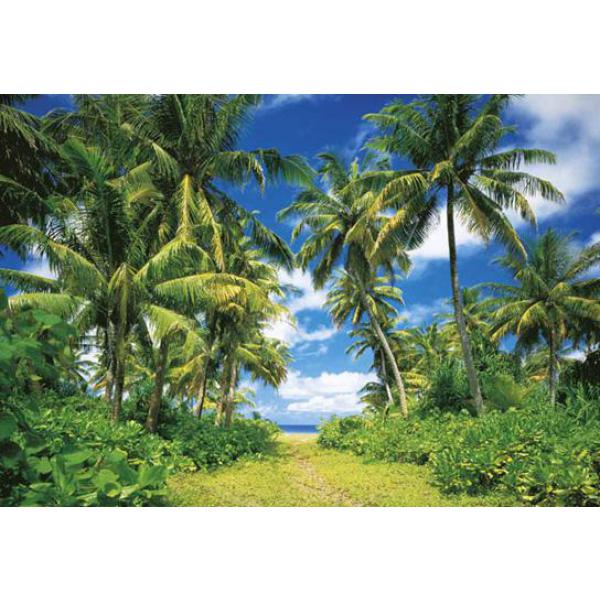 Gravura para Quadros Ilha Paradisíaca 366x254 cm