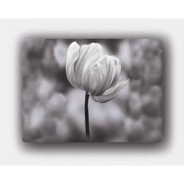 Gravura para Quadros Floral Tulipa Preto e Branco - Gr7094 - 50x40 Cm