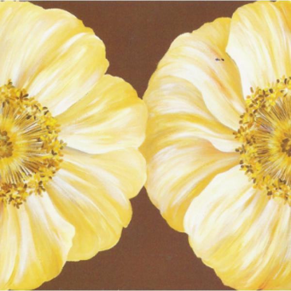 Gravura para Quadros Flores Calndula Amarela - Ncn4722 - 50x50 Cm