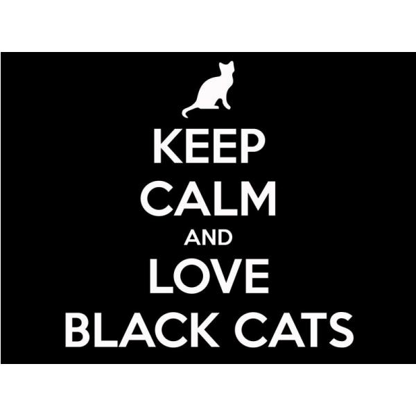 Gravura Impressa para Quadros Frase Keep Calm And Love Black Cats - Afi538 - 70x50 cm