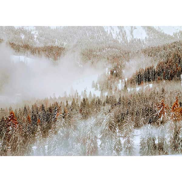 Tela para Quadro Panorama Floresta Nevasca - Afic18408