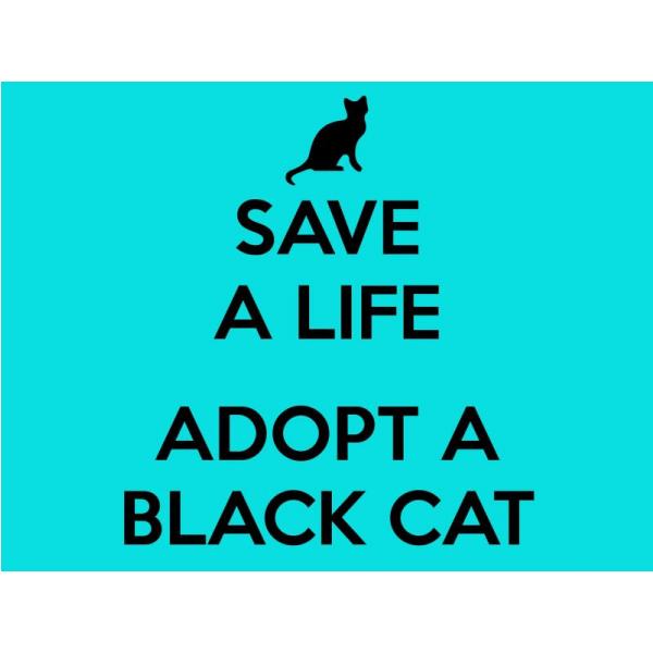 Impresso em Tela para Quadros Frase Save a Life Adopt a Black Cat - Afic539 - 70x50 Cm