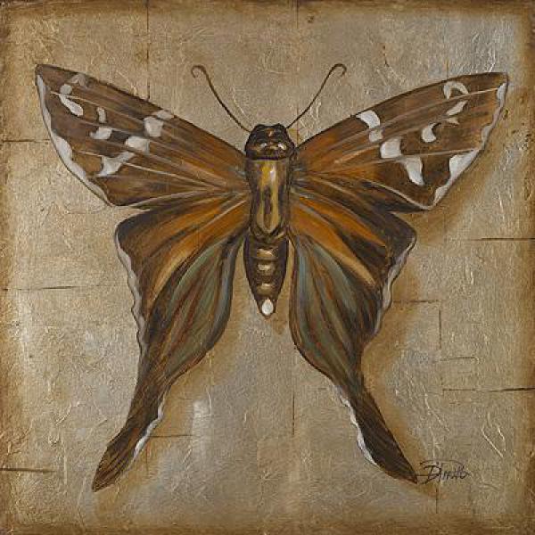 Gravura para Quadros Butterfly Marrom - 15x15 cm