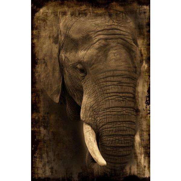 Gravura Impressa para Quadros Elefante Africano Triste - Afi646