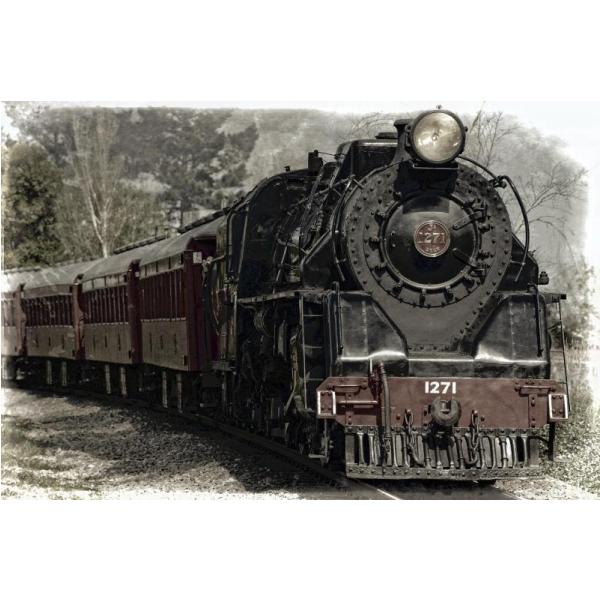 Impressão em Tela para Quadro Locomotiva Sobre Trilhos - Afic2729