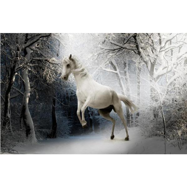 Impresso em Tela Cavalo Branco Na Floresta - Afic466 
