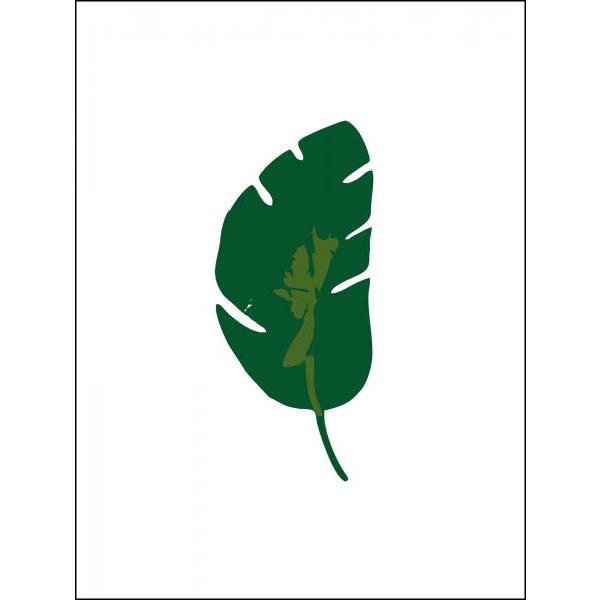 Gravura para Quadros Folha Verde Escuro - Afi6488