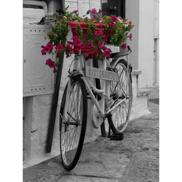 Impressão em Tela para Quadros Bicicleta Decorativa - Afic6884