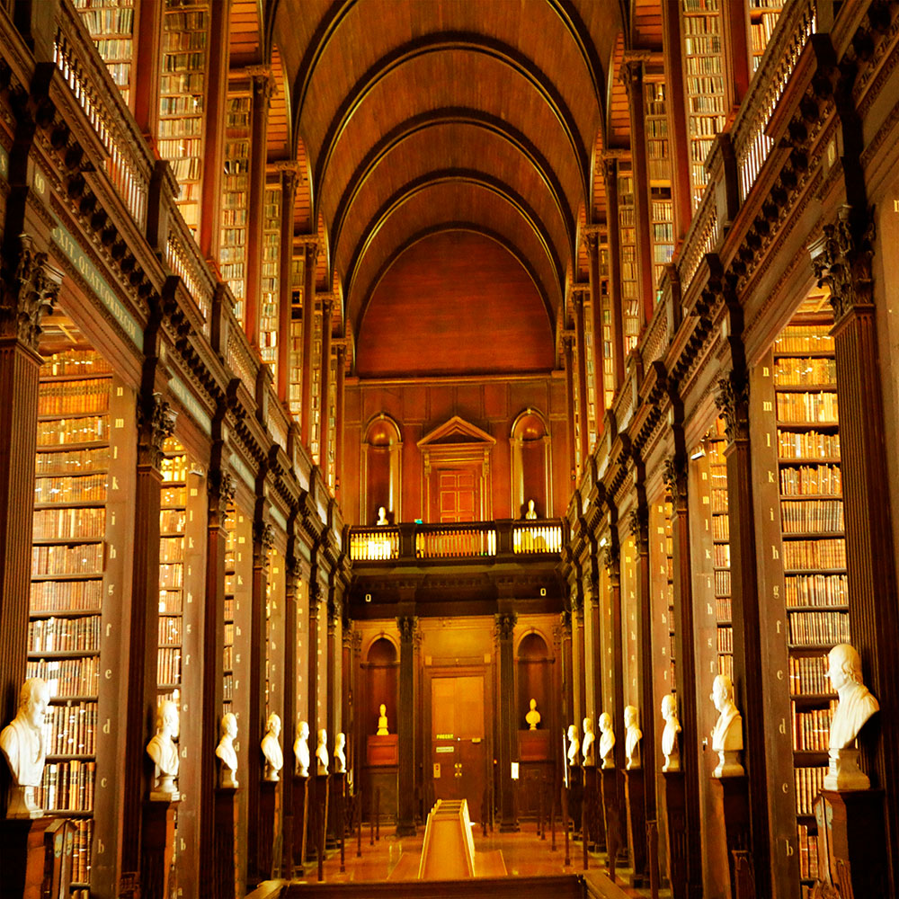 Tela para Quadros Decorativo Biblioteca Universitria de Bolonha - Afic13940