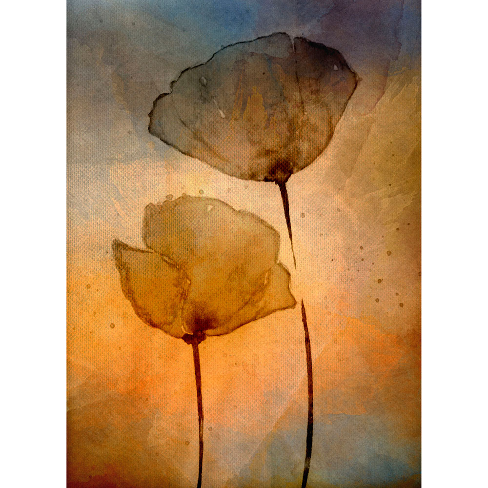 Gravura para Quadros Flores de Tulipa Decorativa - Afi13037