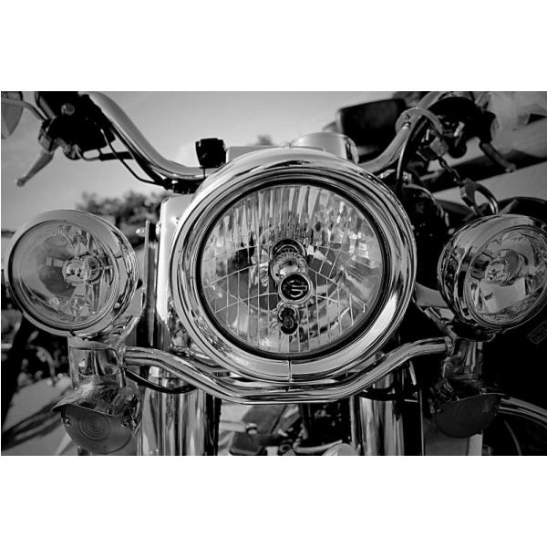 Impresso em Tela para Quadros Moto Harley Davidson - Afic4073