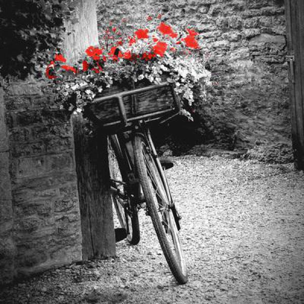 Gravura para Quadros Bicicleta com Flores Vermelhas - Sd9002d-12 - 30x30 Cm