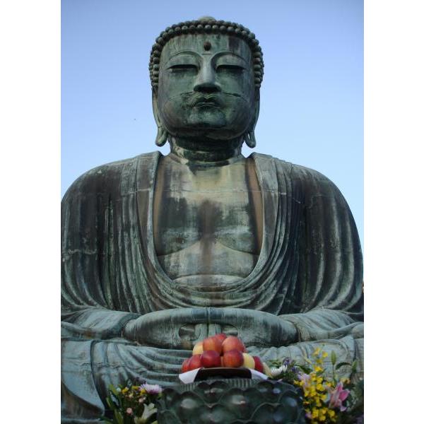 Impressão em Tela para Quadros Buda Envelhecido Meditando - Afic323 - 50x70 Cm