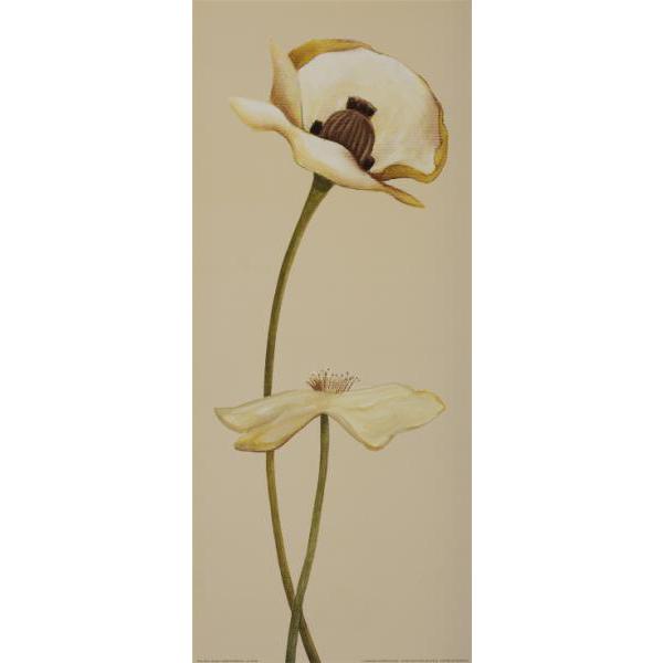 Gravura para Quadros Par de Flores Brancas - Ncn4696 - 20x50 Cm