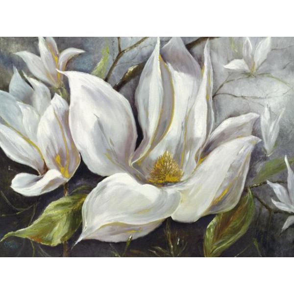 Gravura para Quadros Ilustrativo Flores Brancas - 074041 - 80x60 Cm