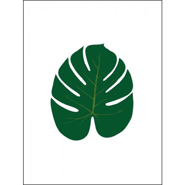 Gravura para Quadro Folha de Imb Verde - Afi6485